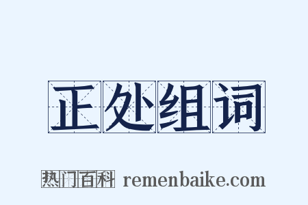 正处组词是什么意思的图片